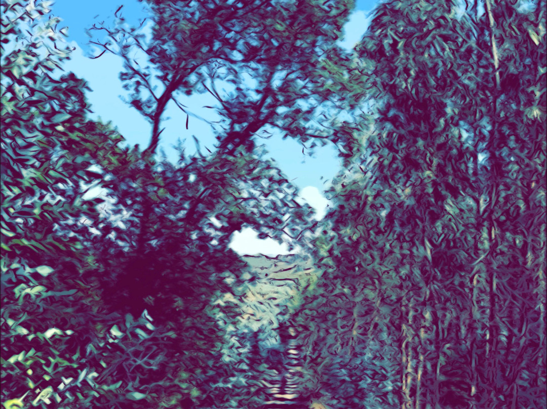 Mountain Travel Sobek-埃默里维尔必去景点