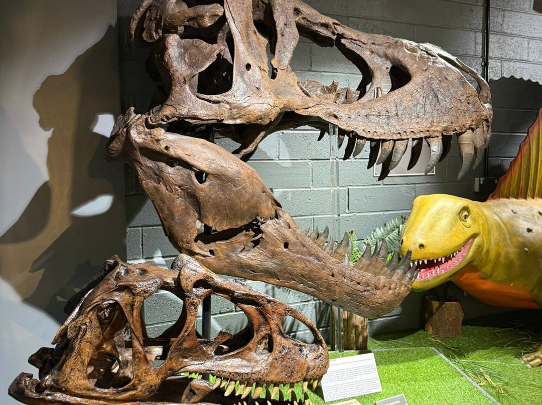 Dudley Museum and Art Gallery-Dudley必去景点