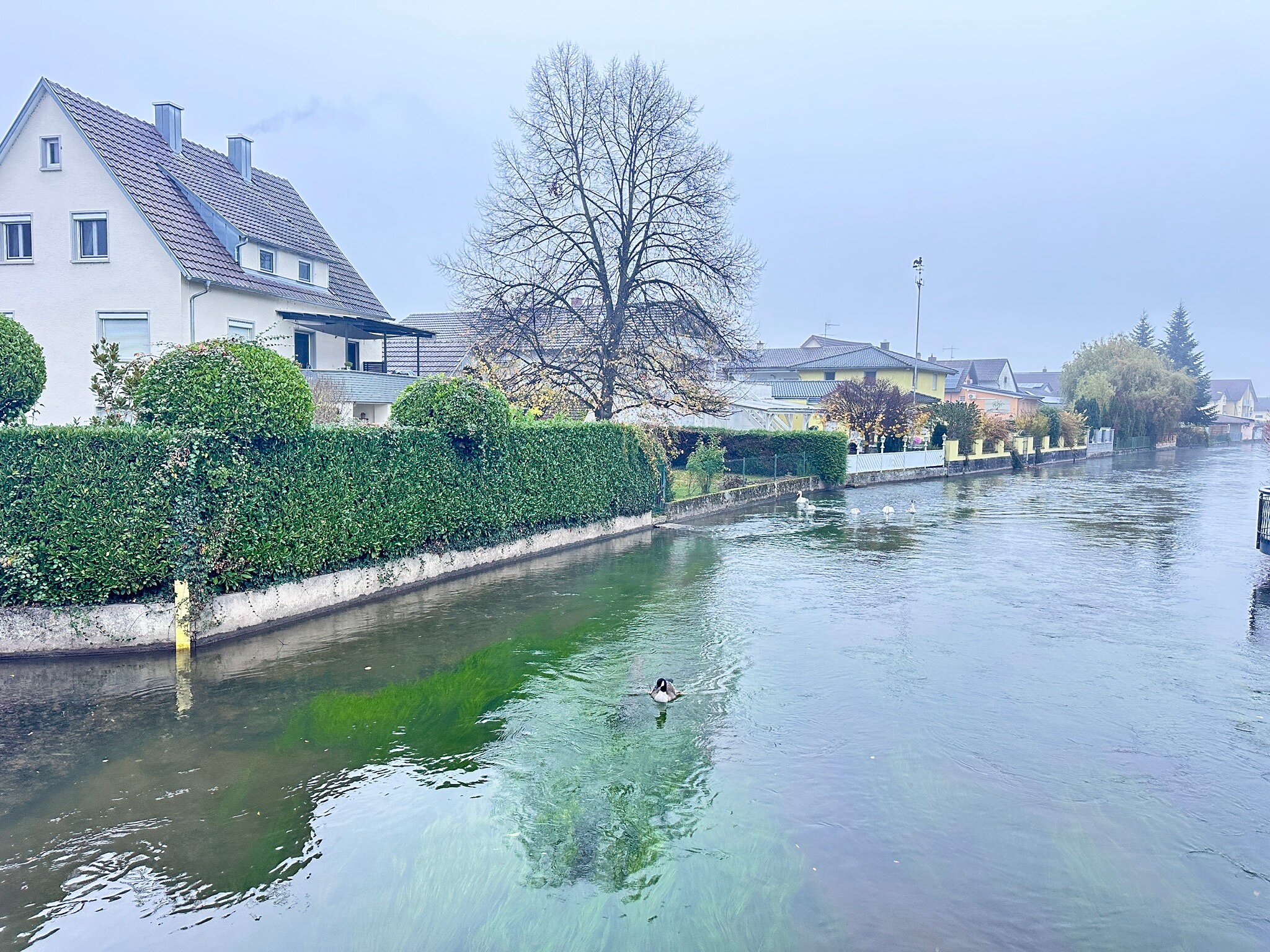 Gaestehaus Parkblick-官方