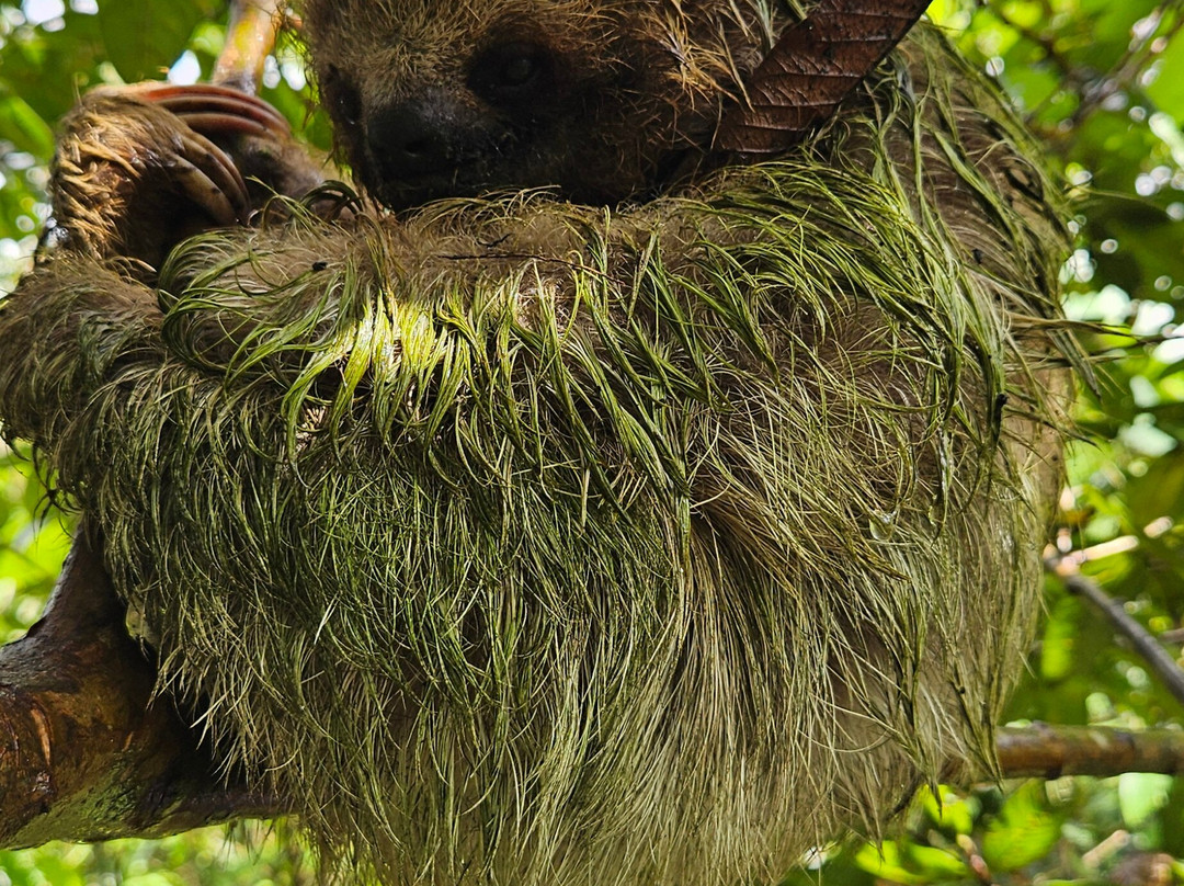 Costa Rica Xploring Tours-Gulf of Papagayo必去景点