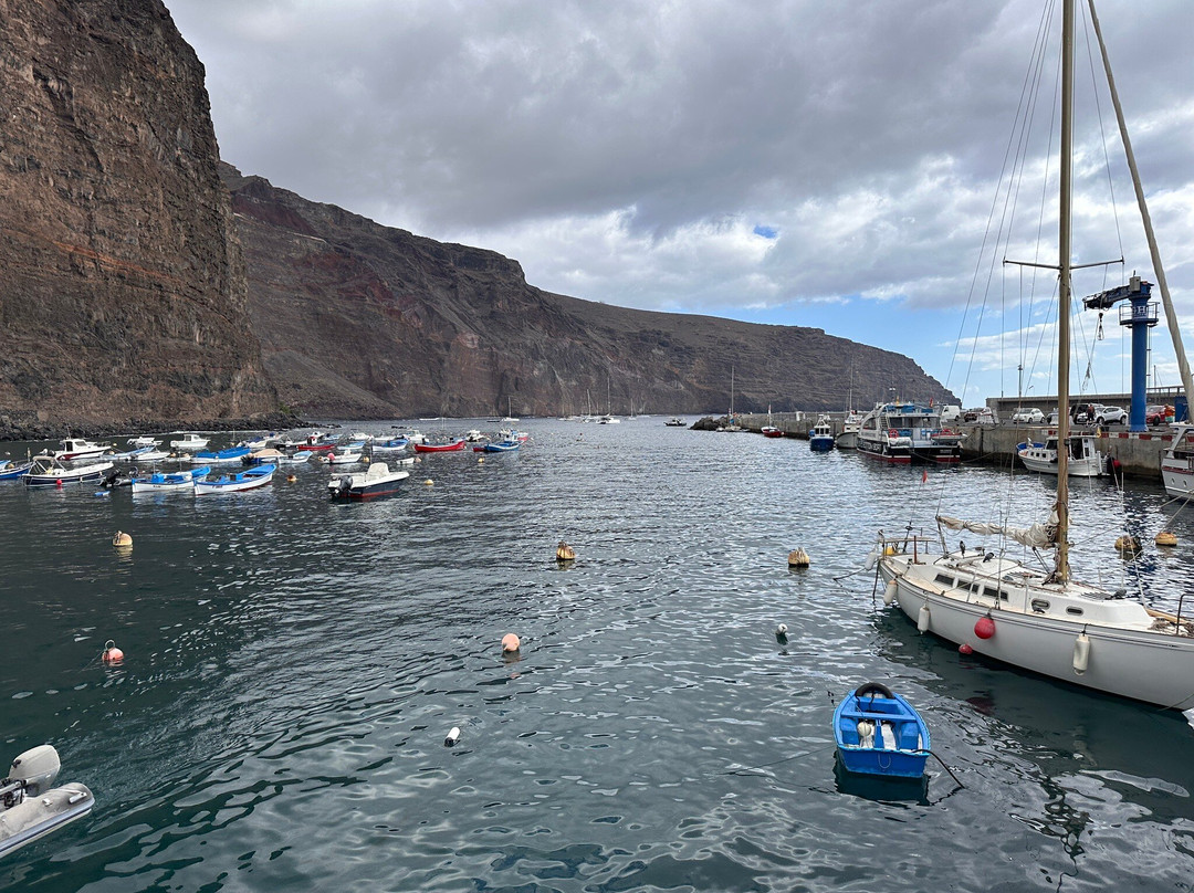 Oceano Whale Watching La Gomera-Valle Gran Rey必去景点