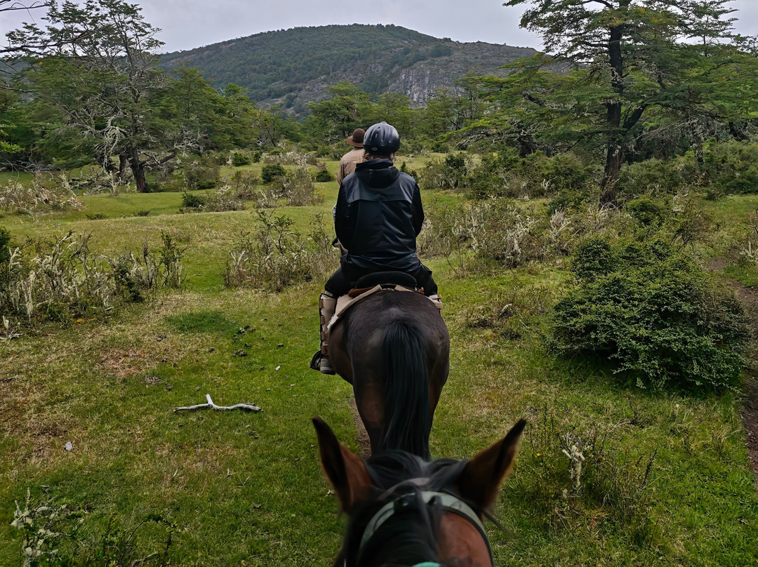 Cimarron Travel-Torres del Paine必去景点