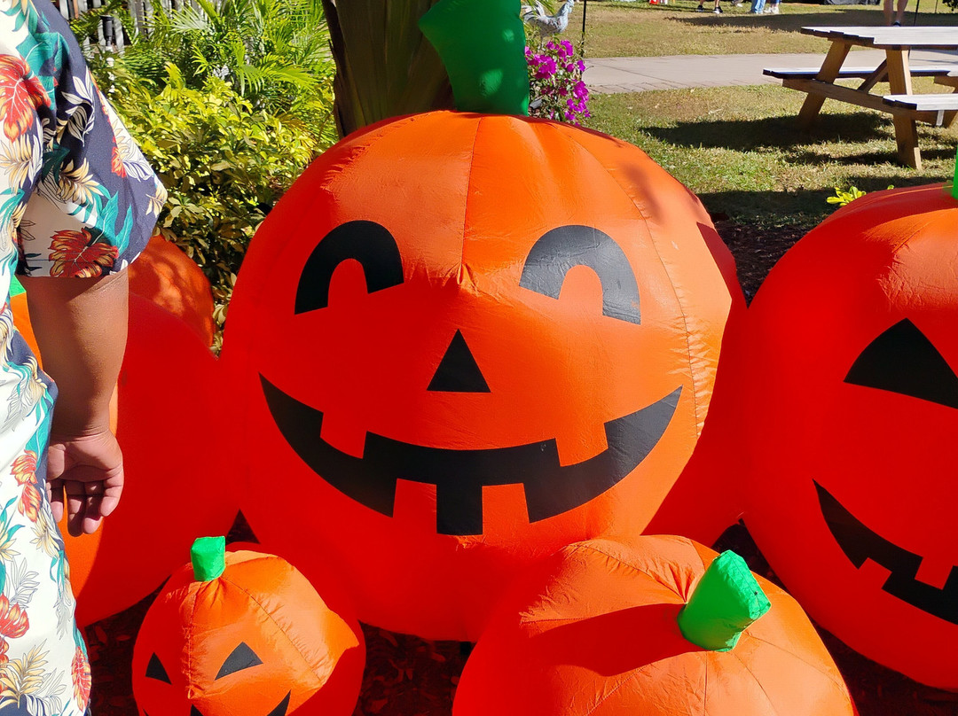 Keel And Curley Winery-普兰特城必去景点