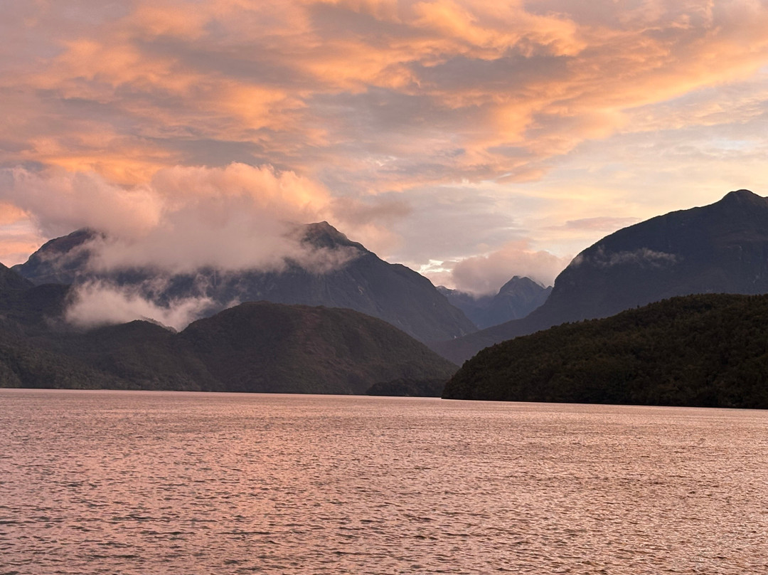 Fiordland Expeditions - Doubtful Sound Overnight Cruises & Multi Day Charters-马纳普里必去景点