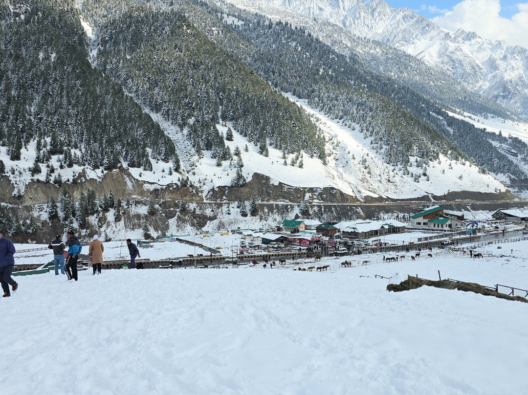 Lemon Tree Hotel, Sonamarg主图