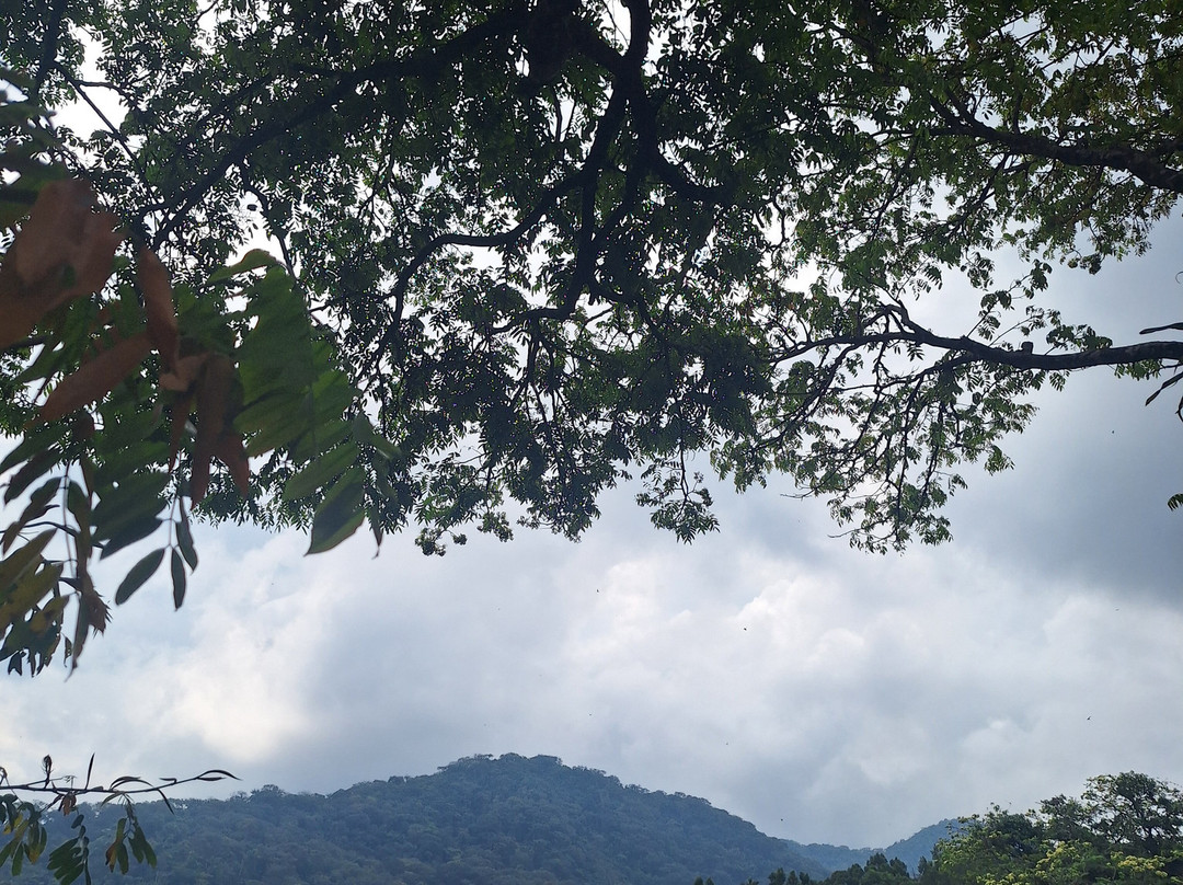 Tacugama Chimpanzee Sanctuary-弗里敦必去景点