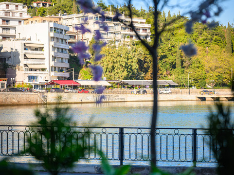 Dion Brunch & Coffee Society