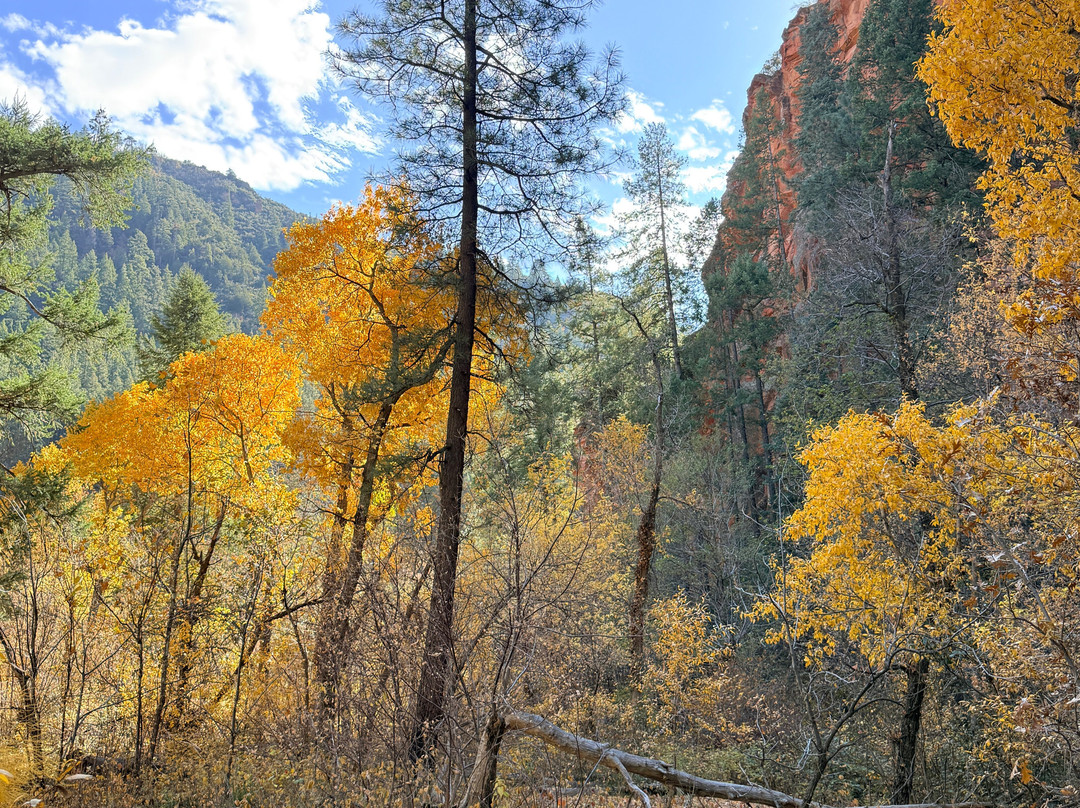 West Fork Oak Creek Trailhead-塞多纳必去景点