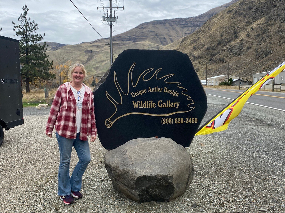 Unique Antler Design Wildlife Gallery-Riggins必去景点