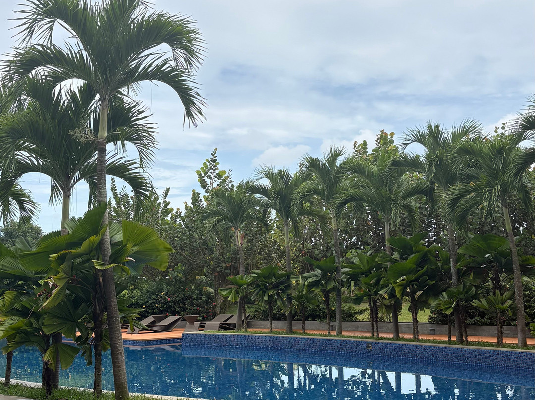 Hotel Santika Premiere Bandara - Palembang主图