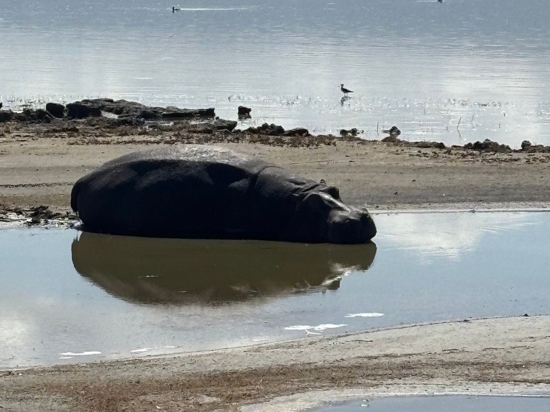 Shadows of Africa-阿鲁沙必去景点