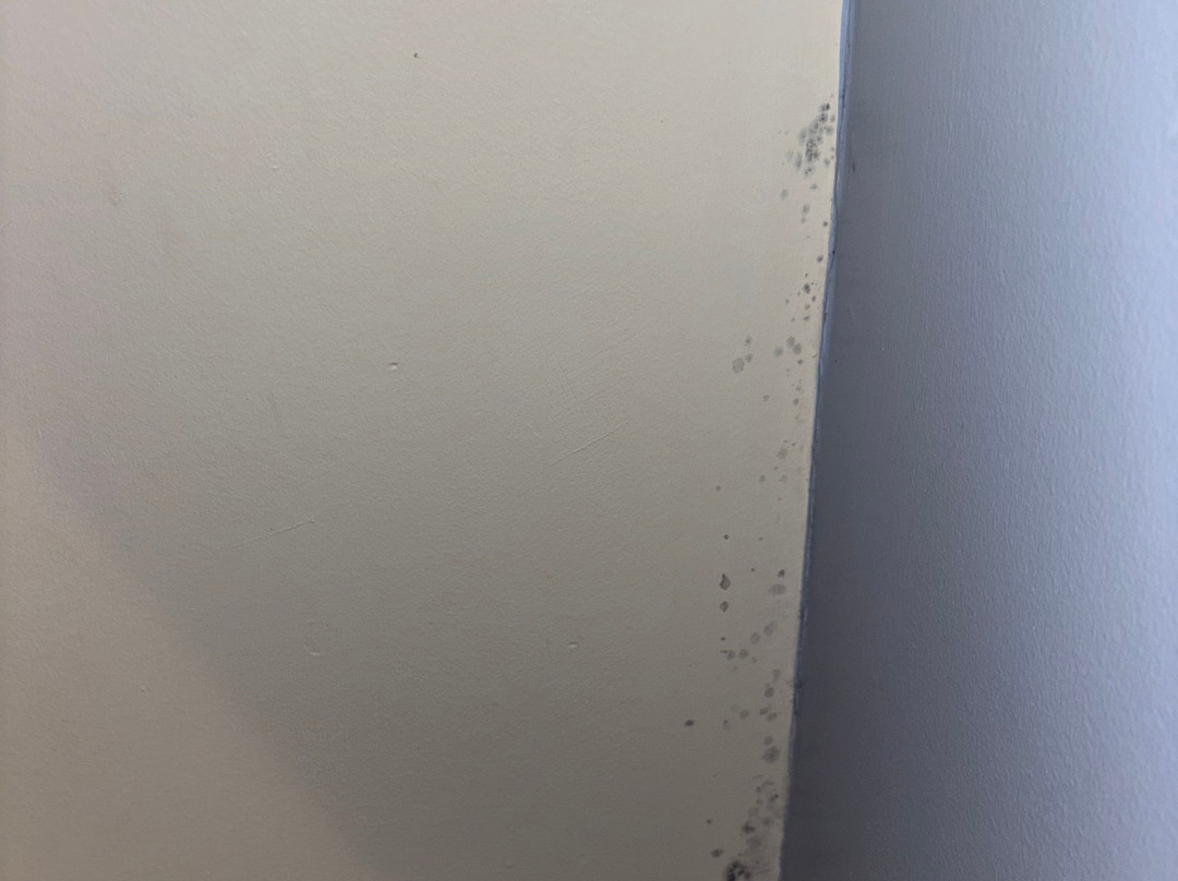 Travelodge Burton A38 Southbound主图