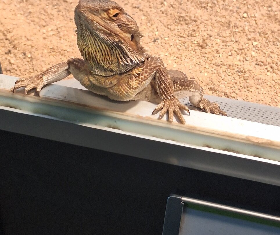 威廉玛动植物园-斯图加特必去景点