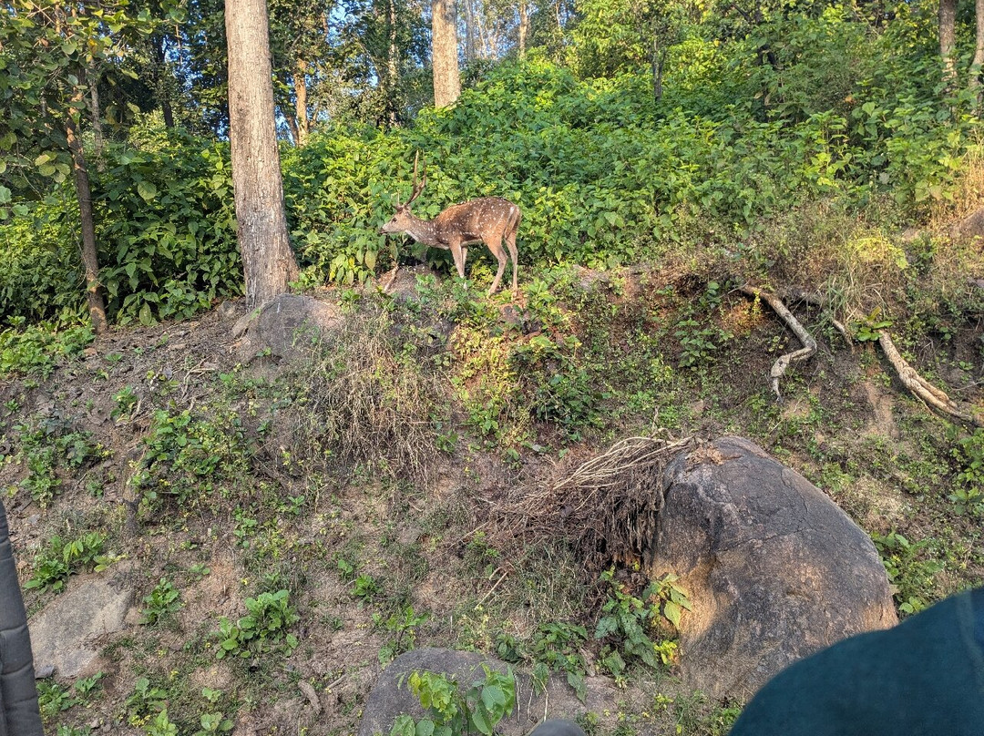 Active India Holidays-新德里必去景点