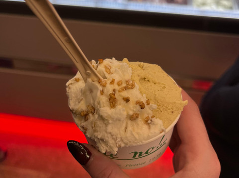 Visiter Florence-佛罗伦萨必去景点