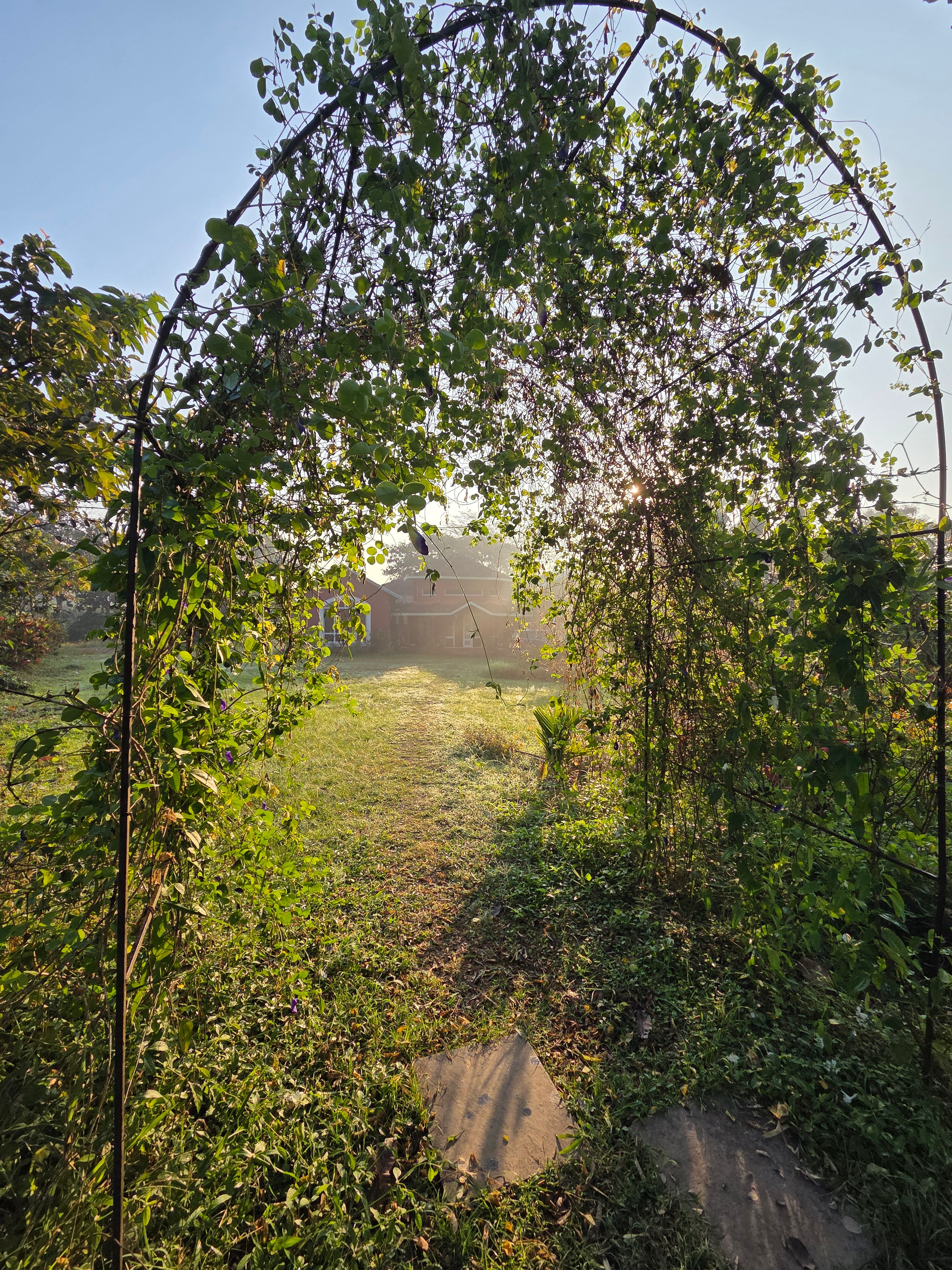 Dandeli Chalet-官方