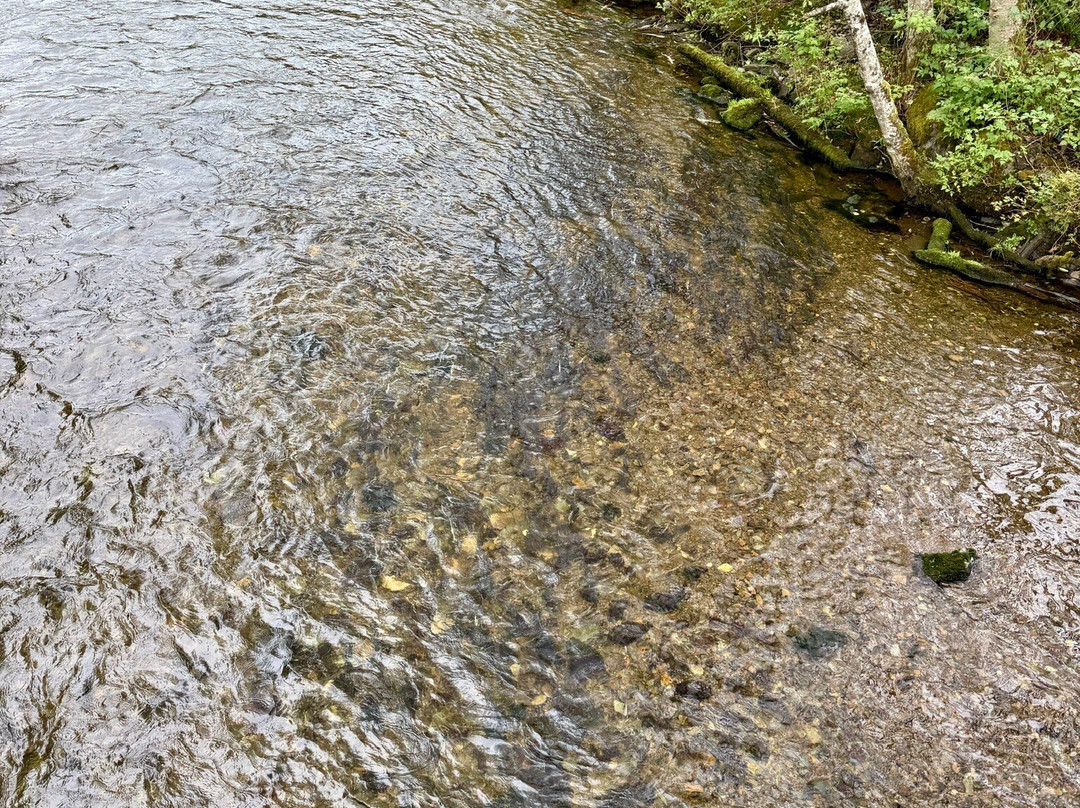 Creek Street-凯奇坎必去景点