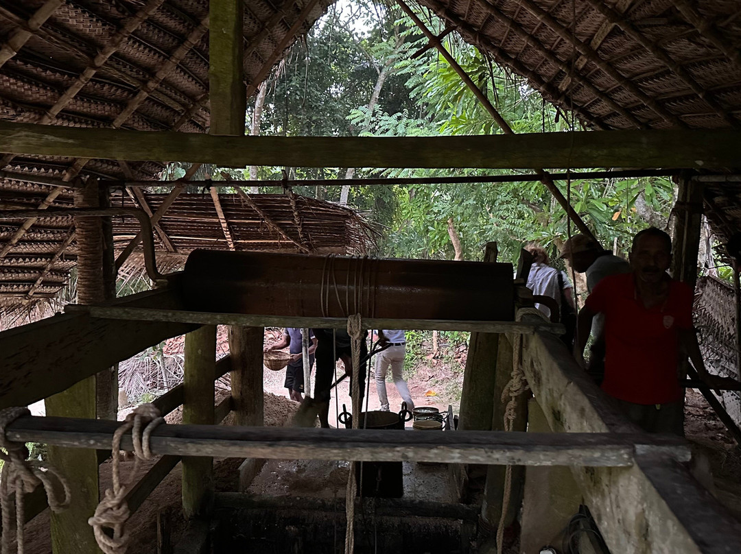 Travel J Sri Lanka-Thalawathugoda必去景点