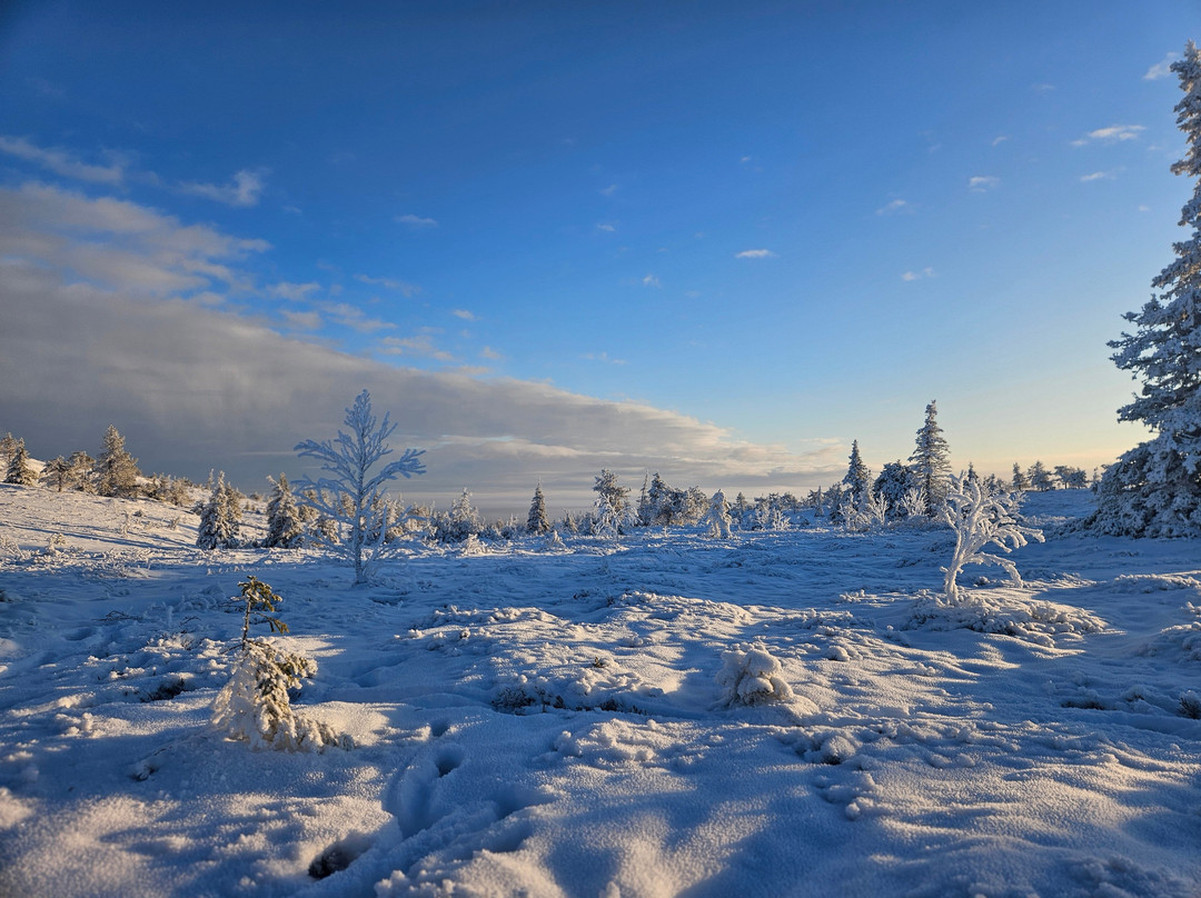 Nordic Unique Travels-罗瓦涅米必去景点