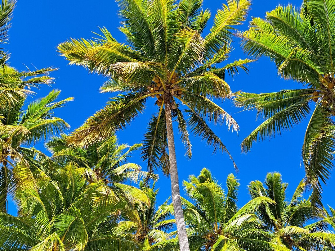 The Vaka Cruise-艾图塔基必去景点