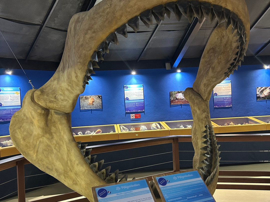 Le Musée de la Mer-Trois-Ilets必去景点