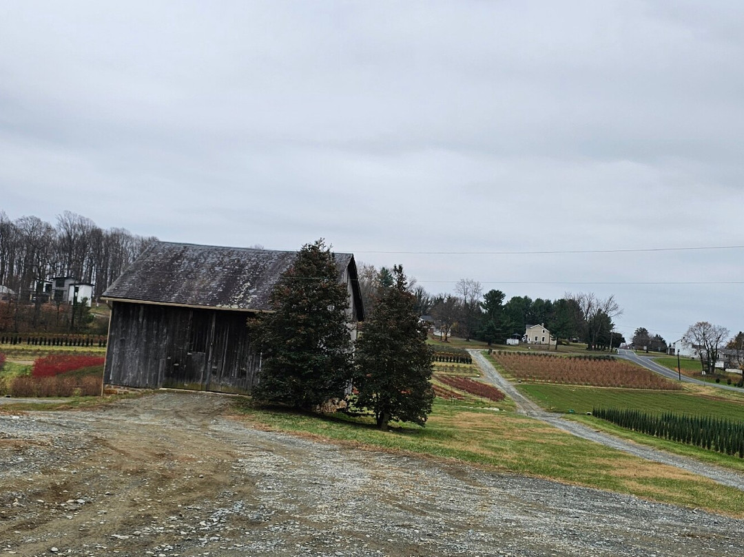 Foxborough Nursery-Street必去景点