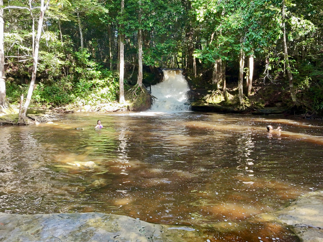 Cachoeira das Orquideas-Presidente Figueiredo必去景点