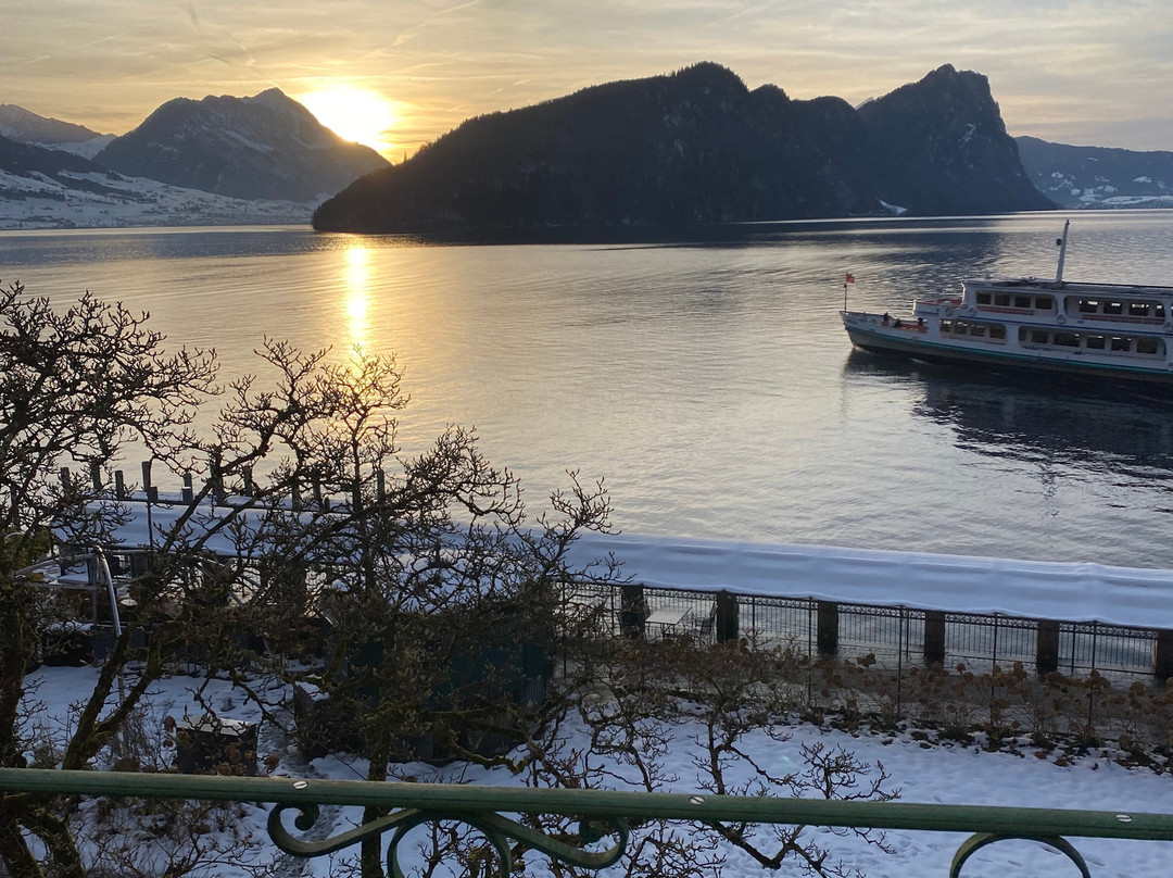 维兹诺霍夫酒店主图