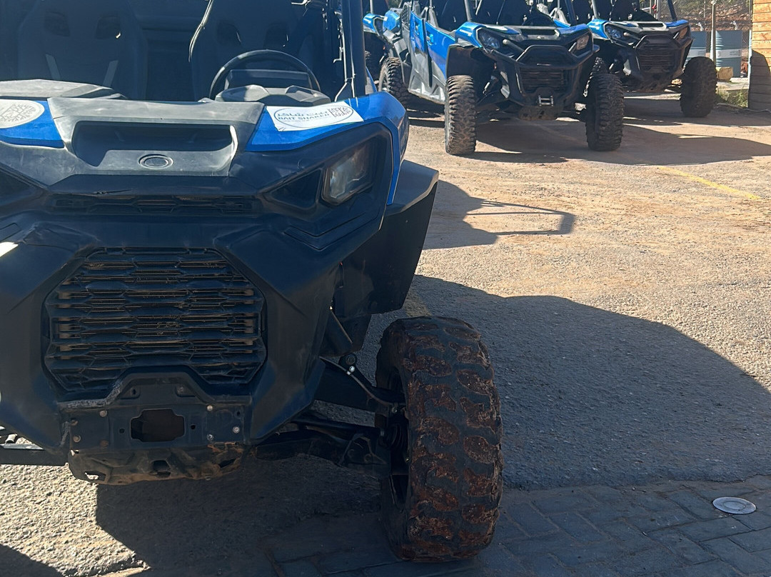 Bait Shaker-Al Salt必去景点