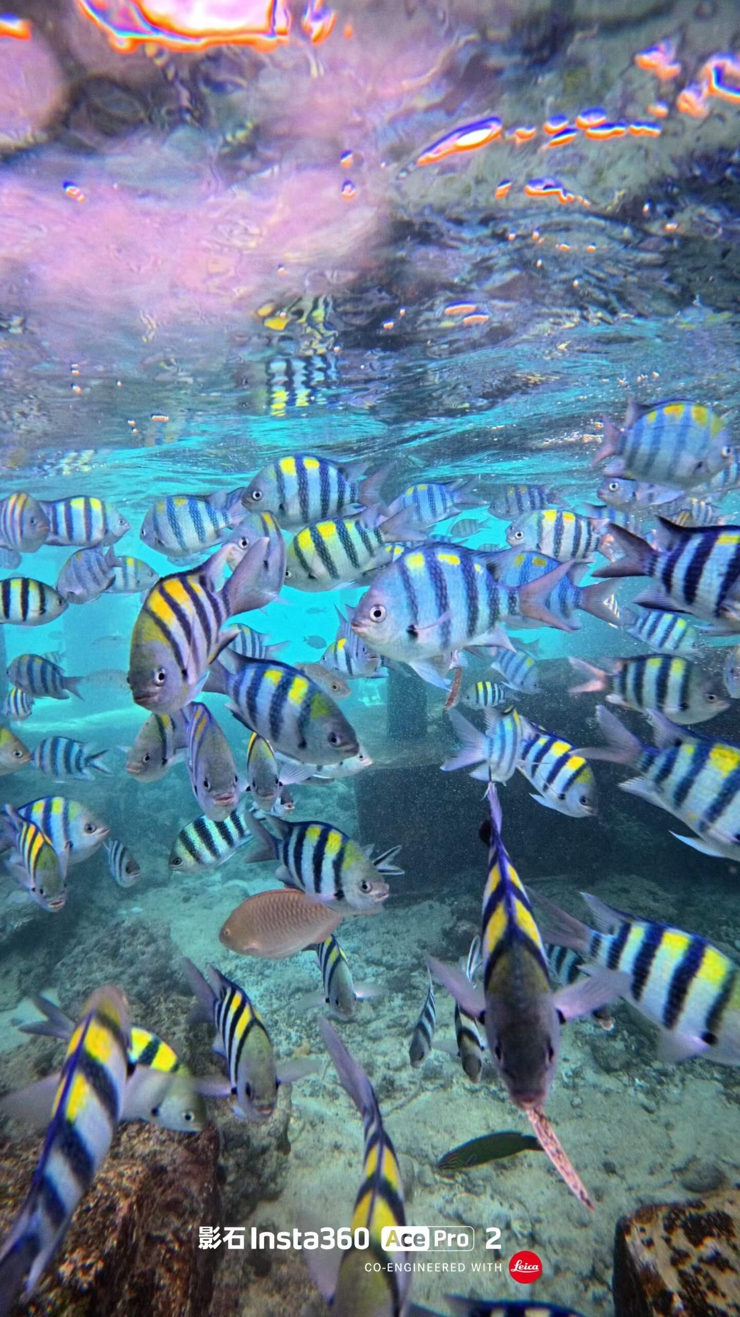 娜鲁萱岛度假村-官方