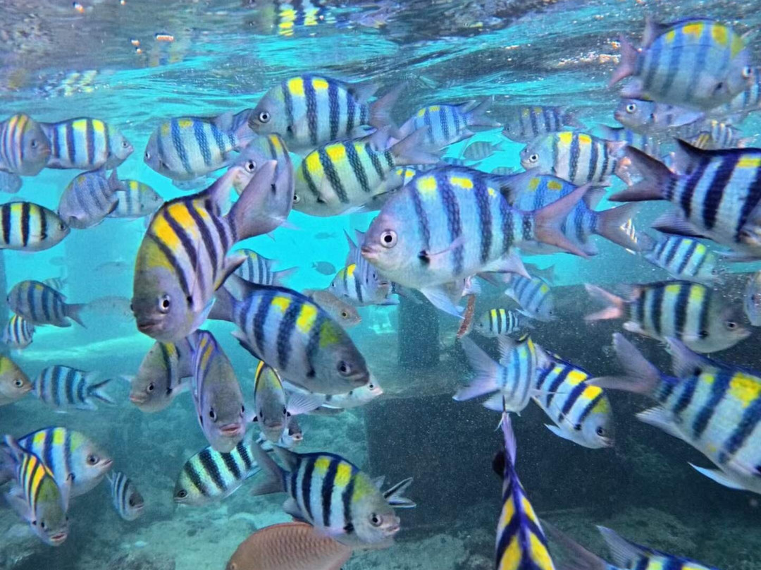 娜鲁萱岛度假村主图