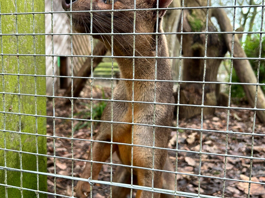Lakeland Wildlife Oasis-Milnthorpe必去景点