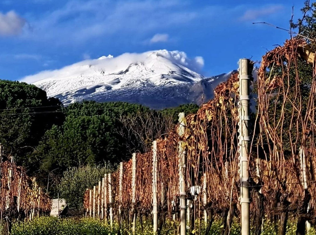 Tenuta Papale-Belpasso必去景点