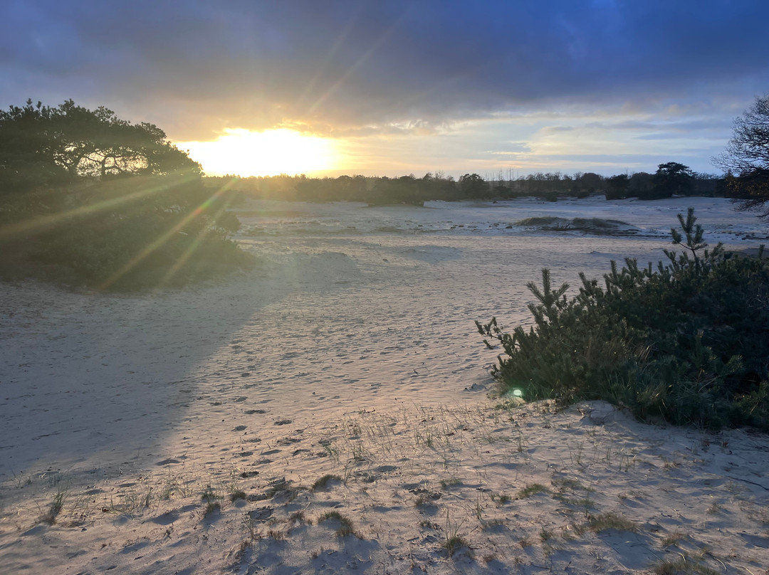 Nationaal Park Drents-Friese Wold-Appelscha必去景点