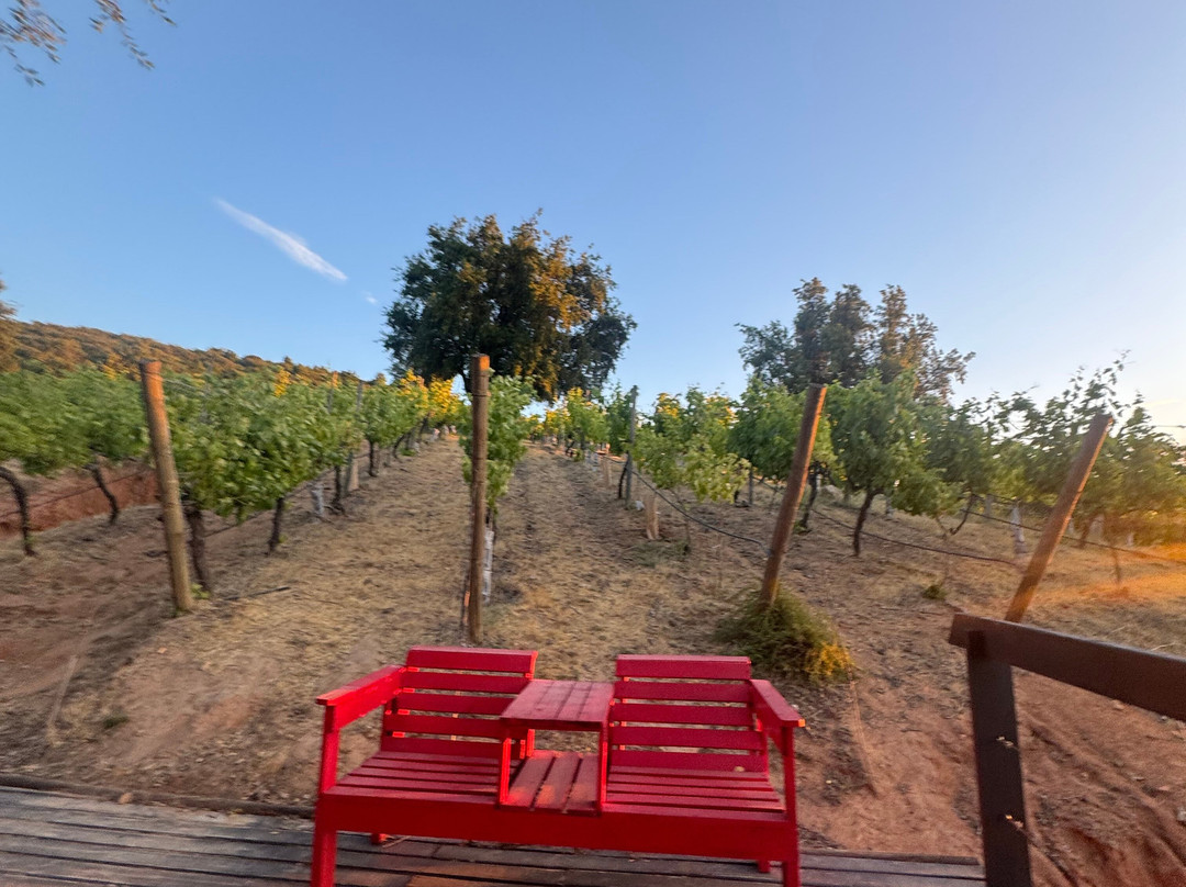 Viña Ventisquero - Mirador La Roblería-圣克鲁斯必去景点