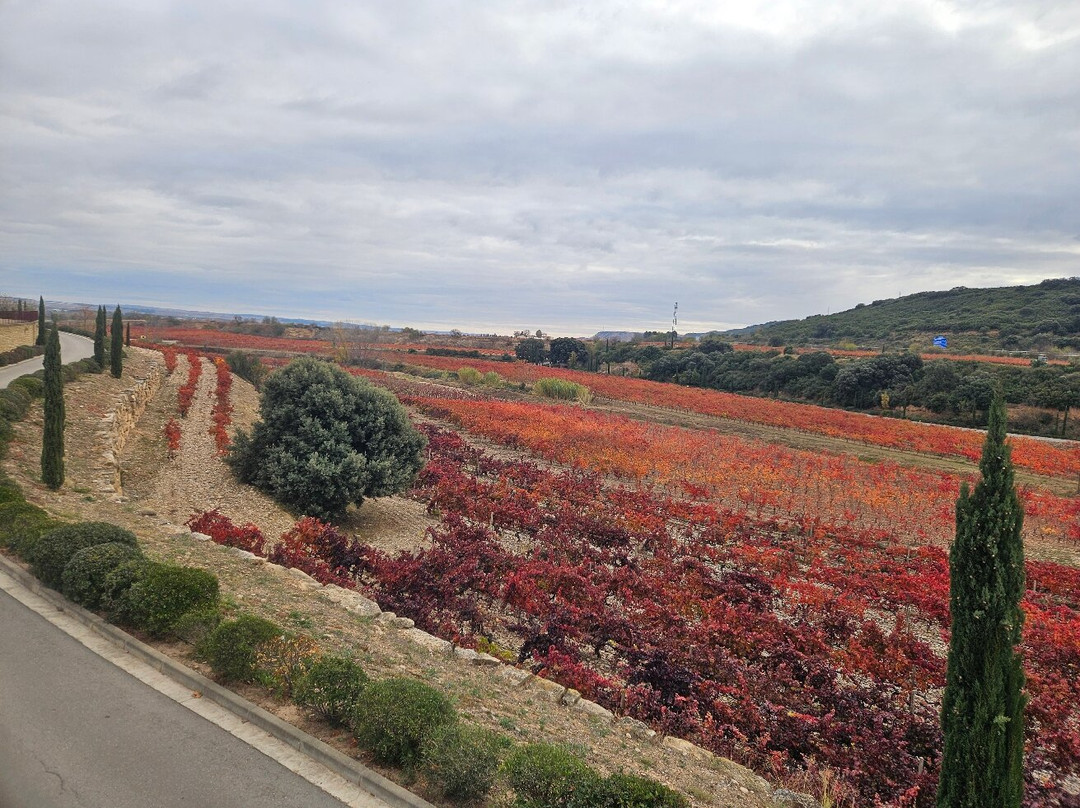 Marqués De Murrieta-洛格罗尼奥必去景点