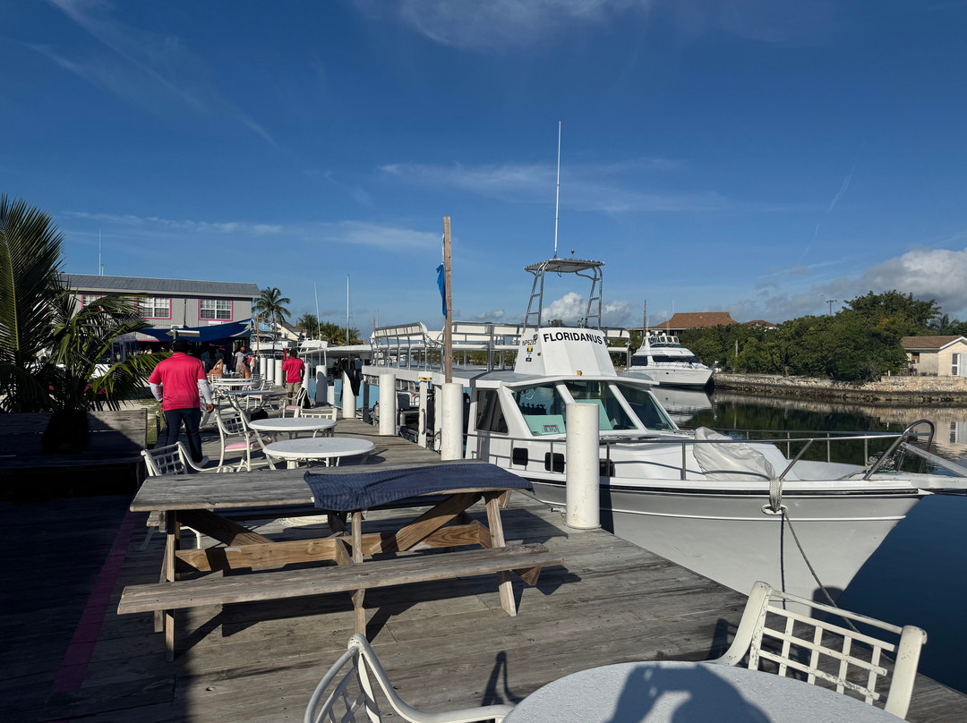 Stuart Cove's-拿骚必去景点