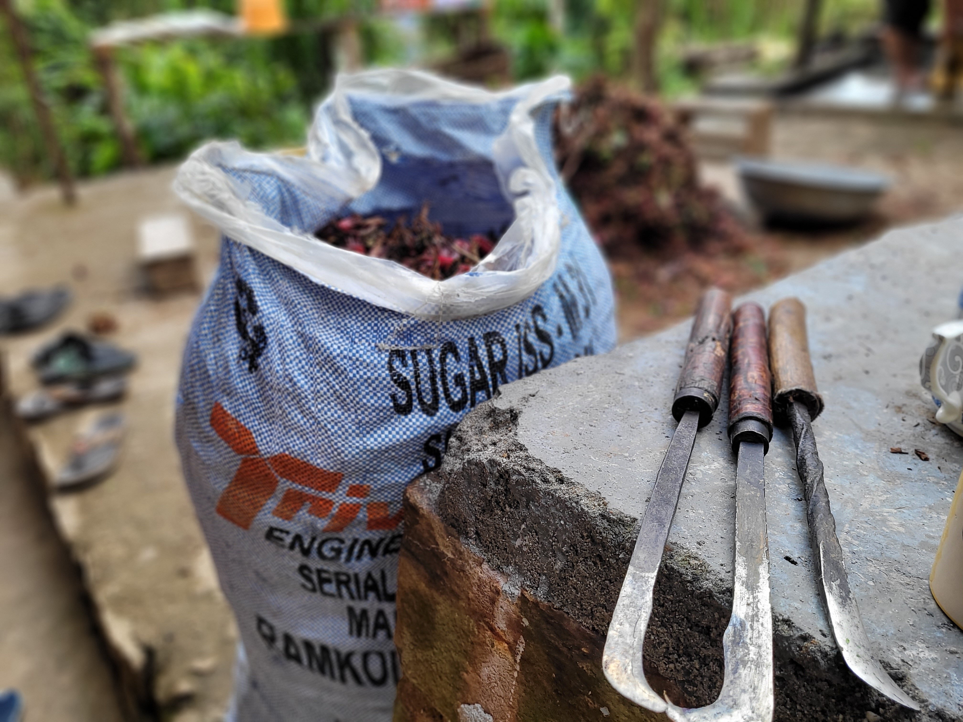 Lake View Nest Eco Retreat & Home Stay-官方