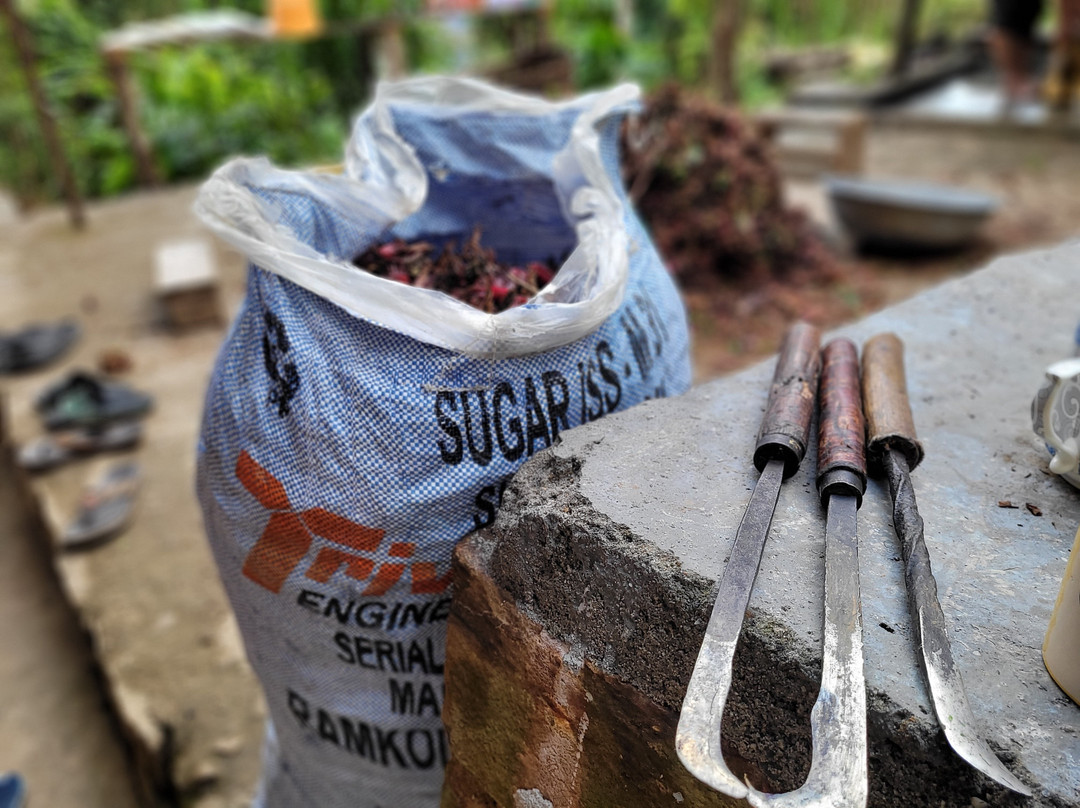 Lake View Nest Eco Retreat & Home Stay主图