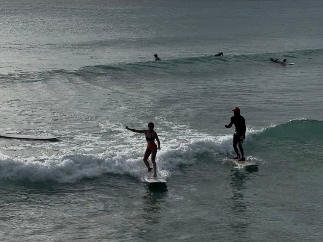 Bodie's School of Surf-奥伊斯廷斯必去景点