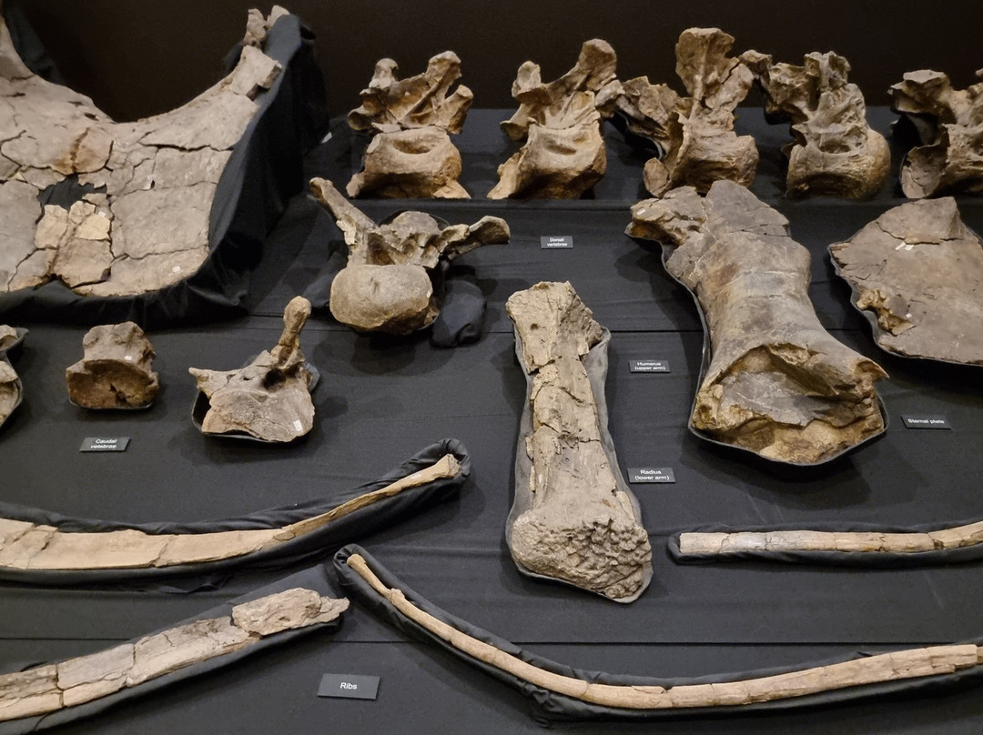 Fun Over Fifty-布里斯班必去景点