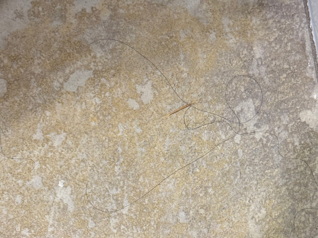 科洛尼皇冠贝斯特韦斯特优质套房酒店主图