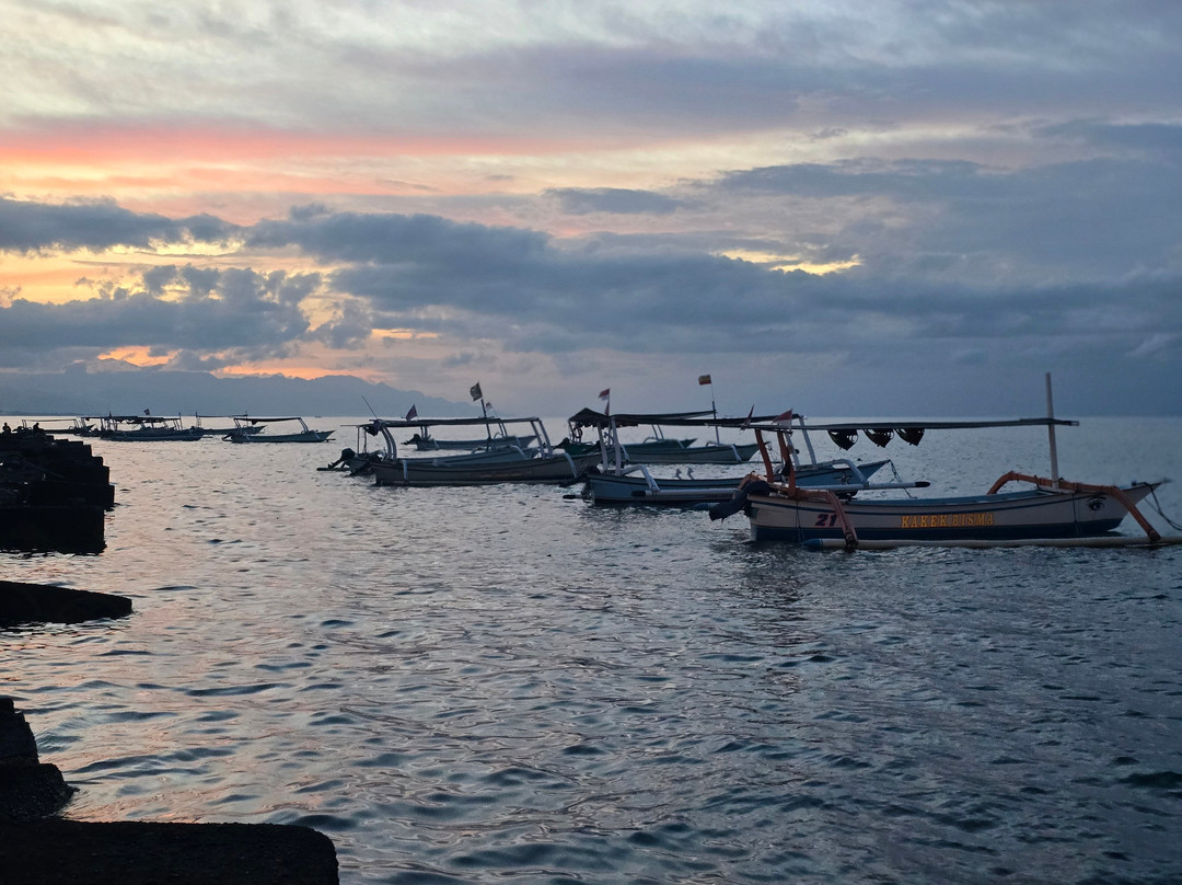 罗薇娜海滩苏玛酒店主图