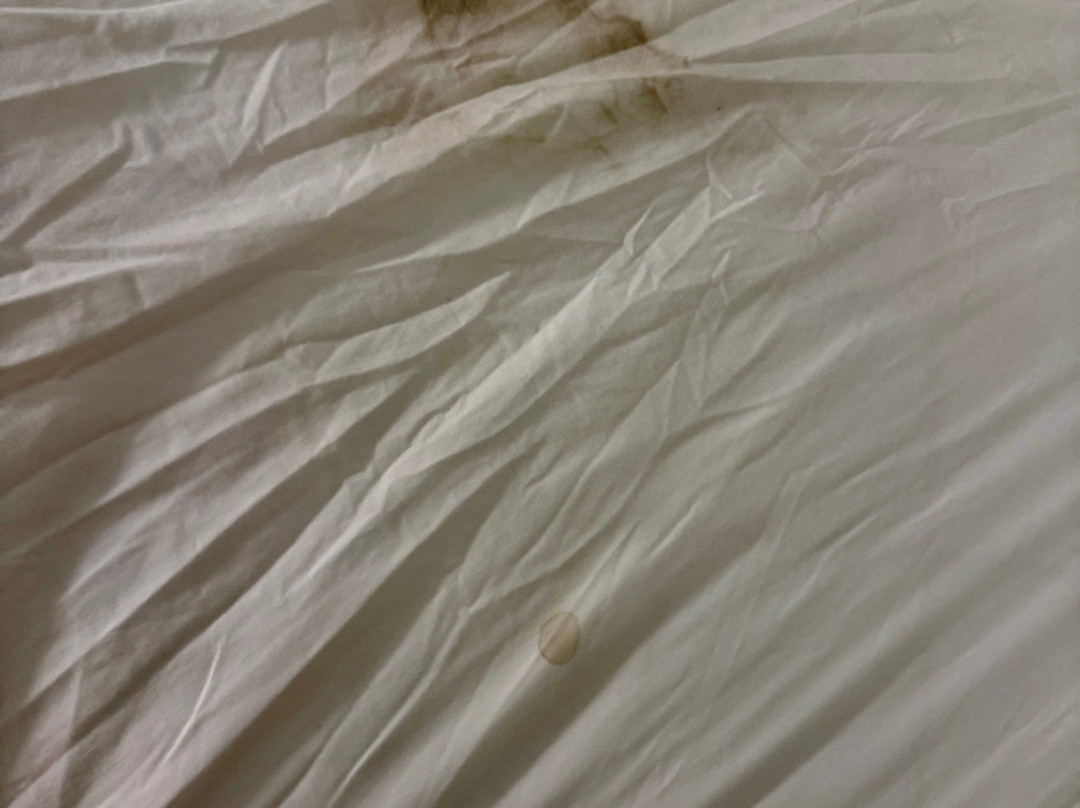 Hyatt Place Columbia/Harbison主图