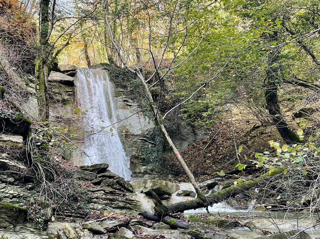 Plesetskiye Waterfalls-Gelendzhik必去景点