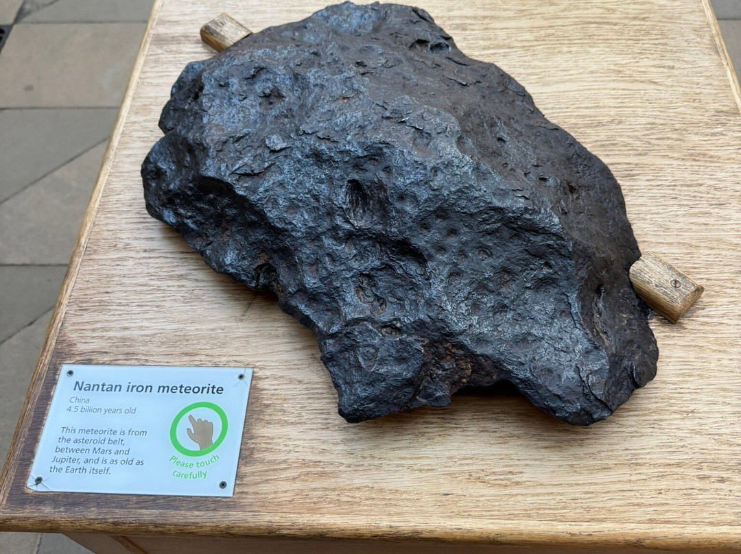 牛津大学自然历史博物馆-牛津必去景点