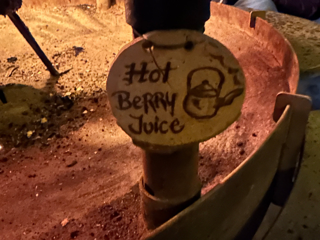 Tundra Huskies Huskyfarm-Levi必去景点