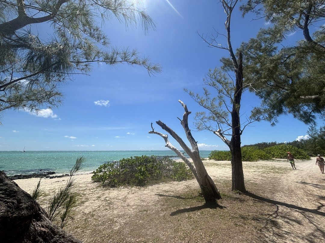 Paradisio Excursions Ile Maurice-大湾必去景点