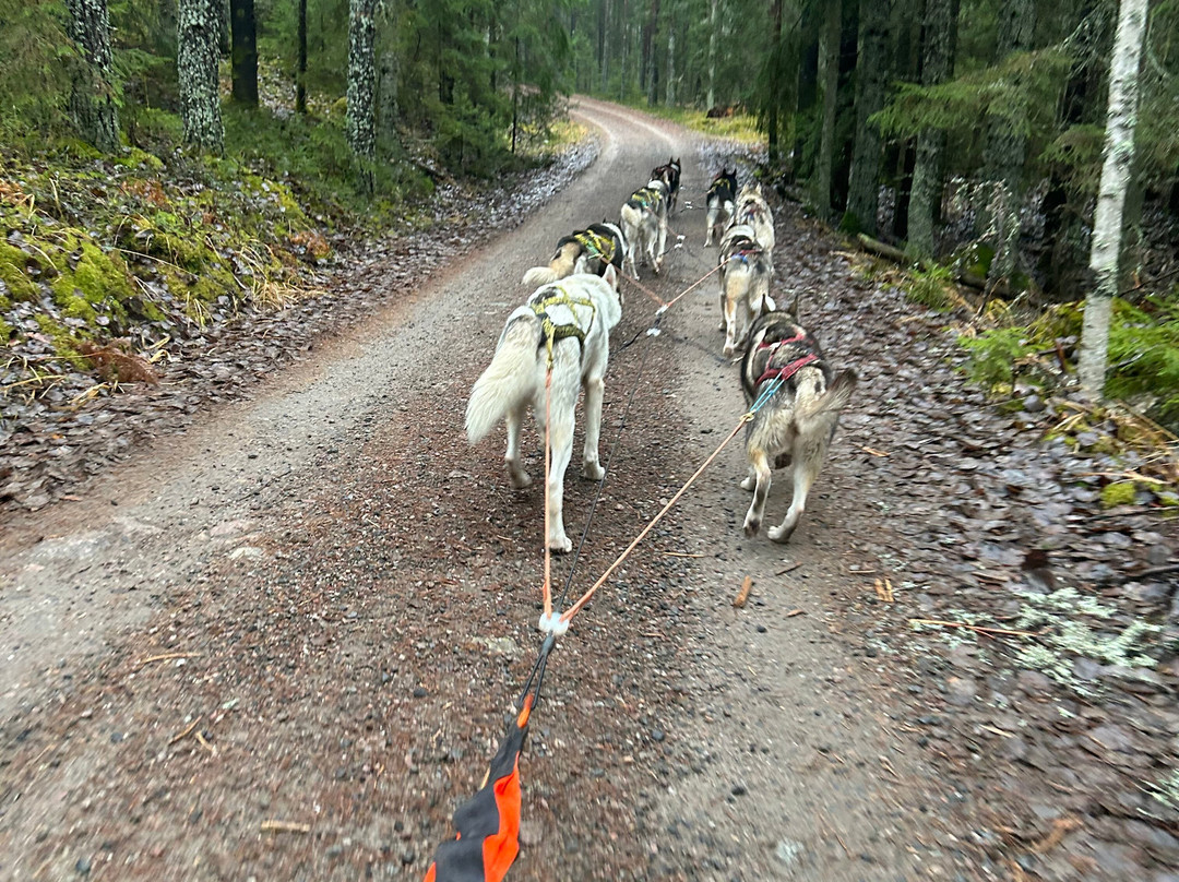 Arctic Expedition-埃斯波必去景点