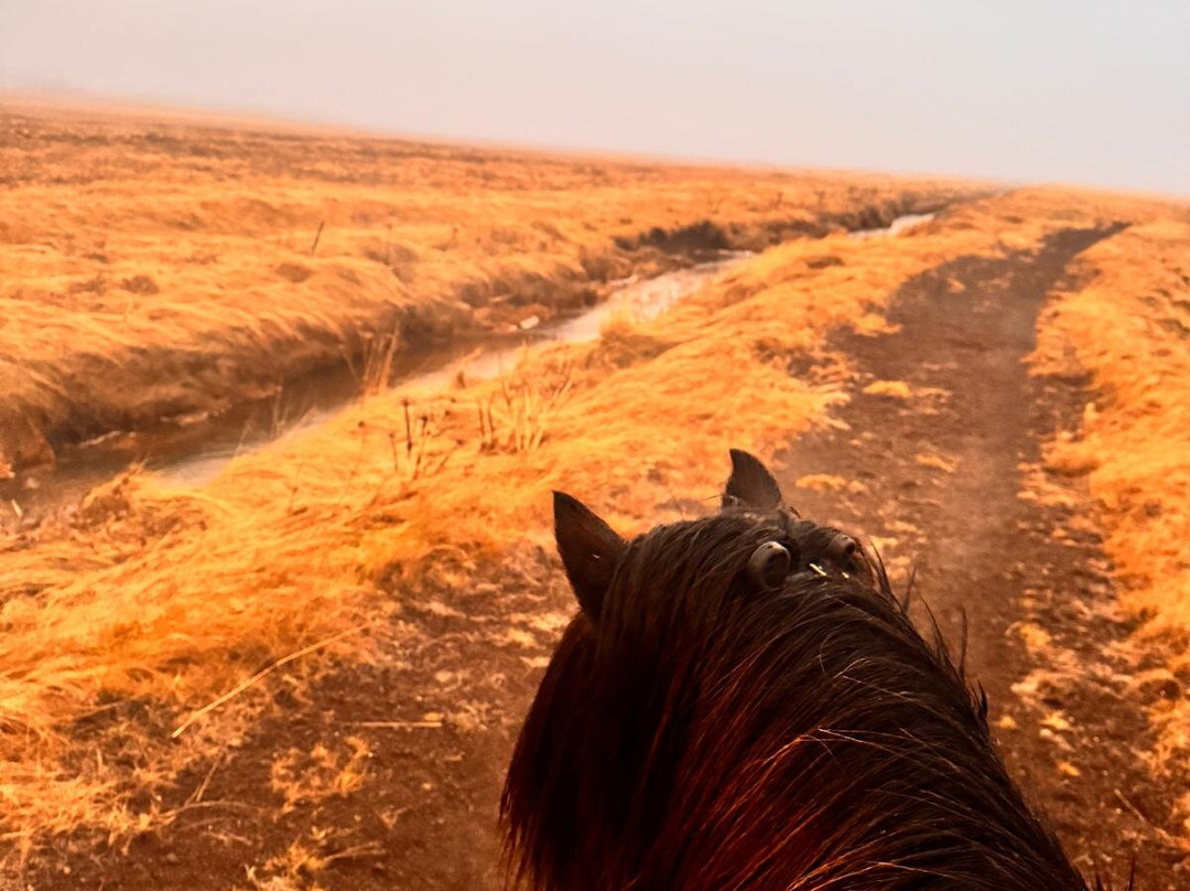 Eldhestar Volcano Horses-Olfus必去景点